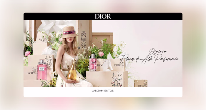 Create Landing page for DIOR