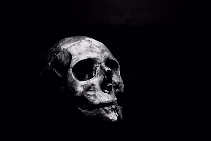 Why Is Horror So Interesting?