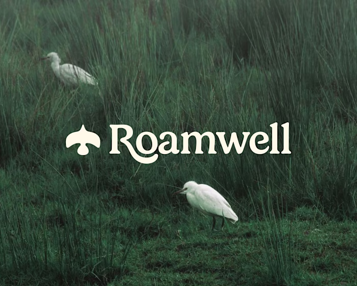 Brand Identity for Roamwell