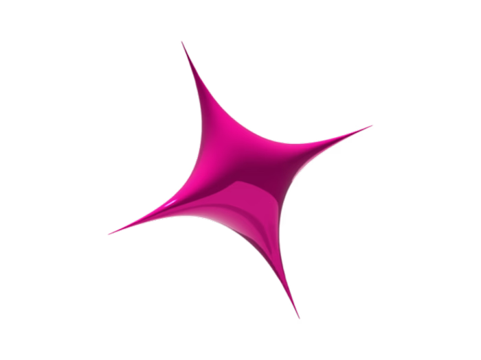 Portfolio Website