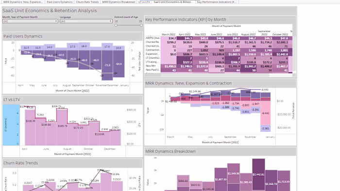 Developed a comprehensive SaaS analytics