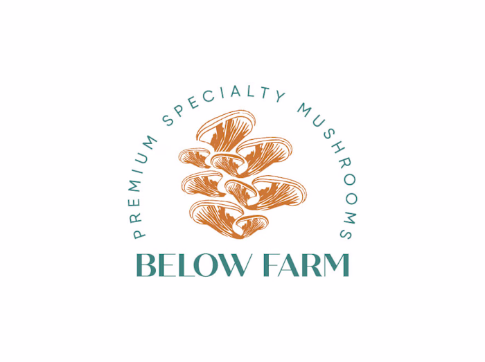 full visual brand development I Below Farm