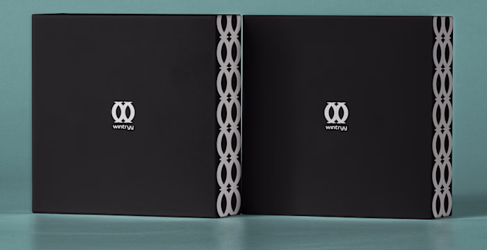 Wintryy | Brand Identity | 2021