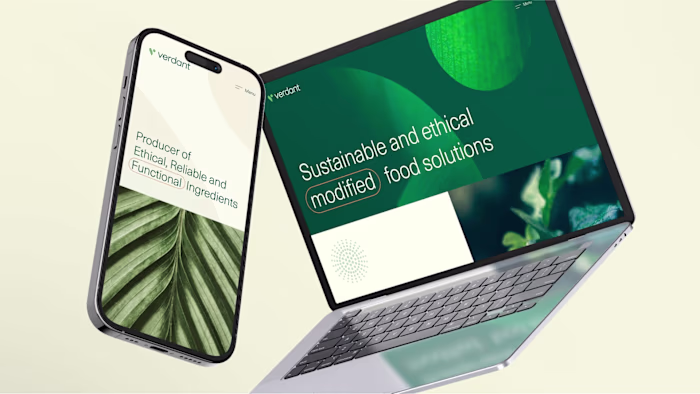Growing a Sustainable Brand with Brand & Website Design