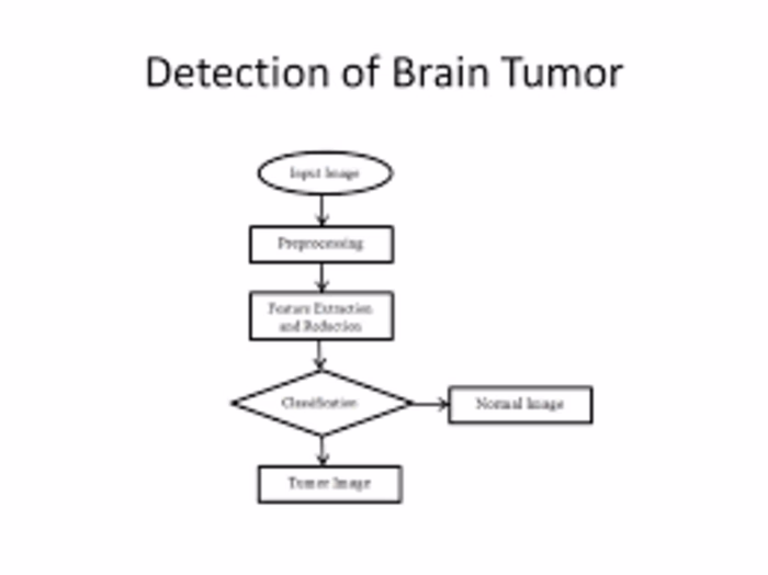 Brain Tumor Detection