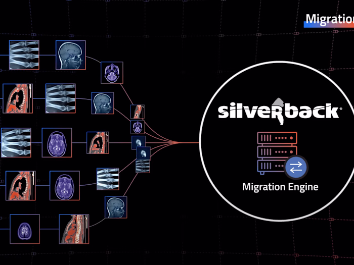 Data First - Silverback