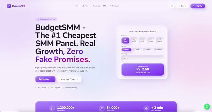 I designed and developed BudgetSMM,