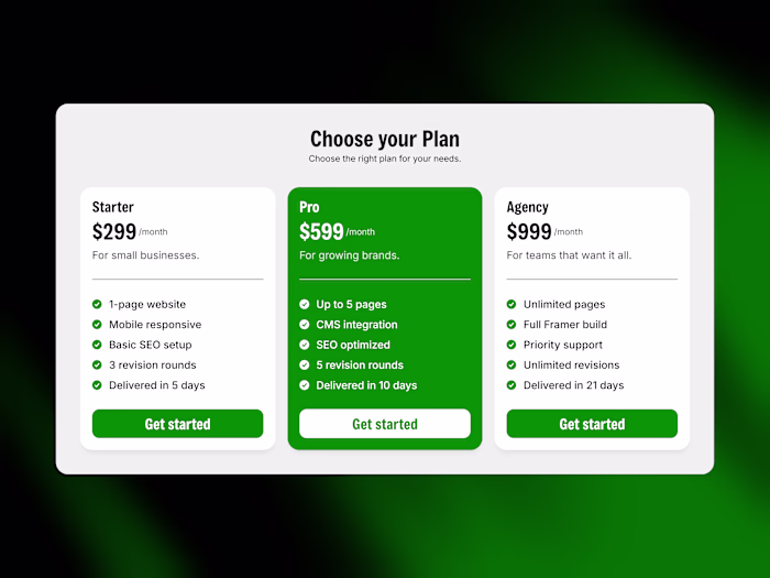Pricing Section