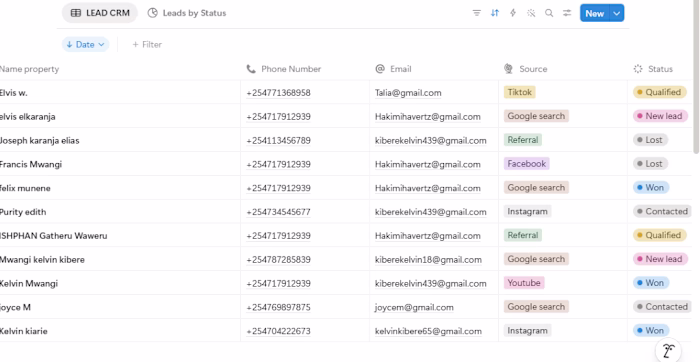 A professional Notion CRM that