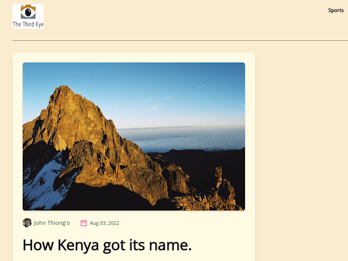 Frontend Developer, The ThirdEye Africa
