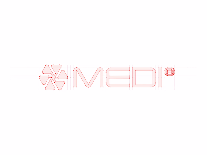 MEDI Logo Grid