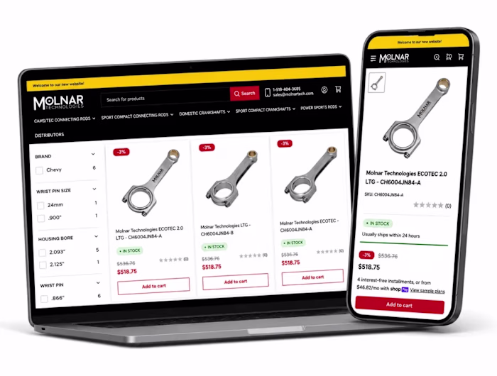 From a risky Wix setup to secure, scalable ecommerce growth.
