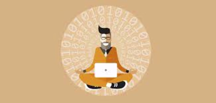 Data Steward