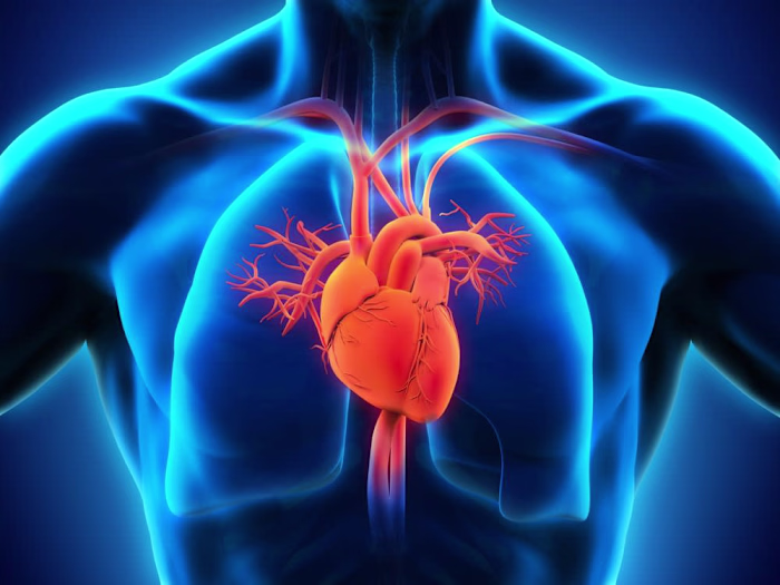 GitHub - MorisDe/Heart-Failure-Prediction-with-87-Accuracy