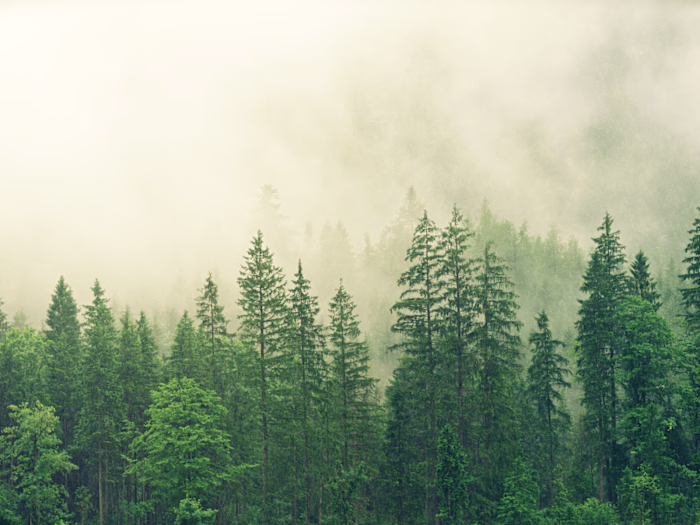 Copywriting for nonprofit technology and fundraising blog (1)