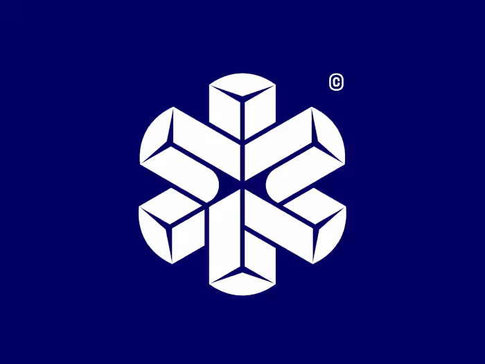 DNDN Logistics Brand Identity Development