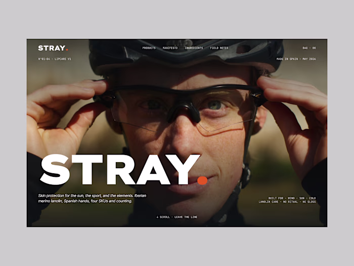 STRAY Landing Page Design and Development