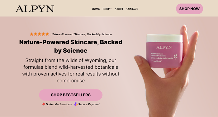 Homepage Redesign on Figma for Alpyn