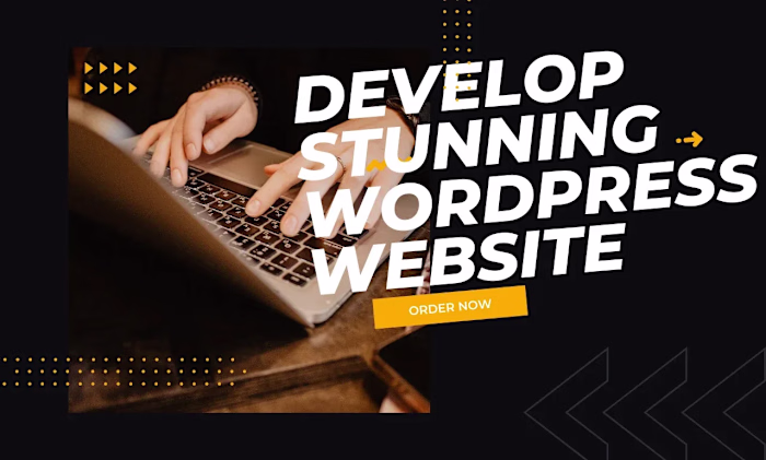 Professional WordPress website with optimise speed