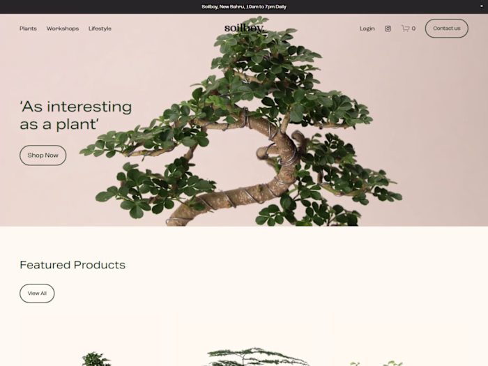 Soilboy E-commerce Website Design & Optimization
