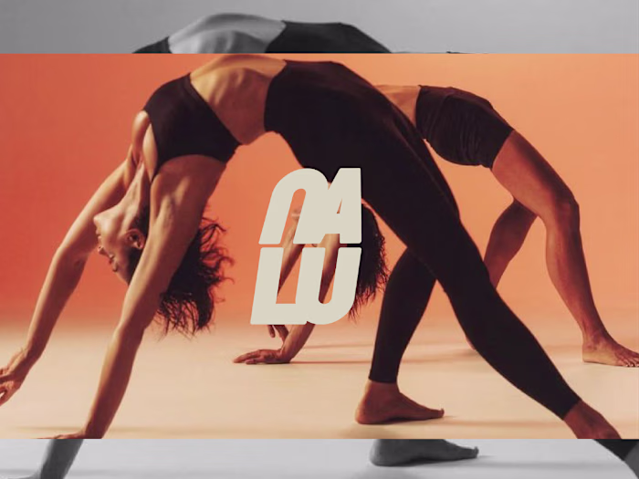 NALU Brand Visual Identity Redesign