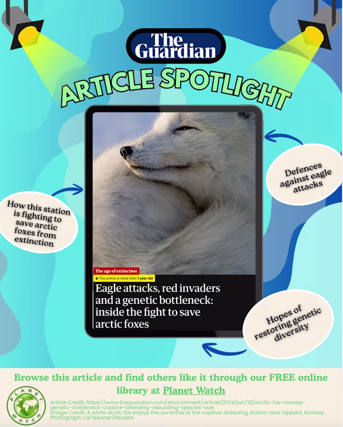 Article Spotlight Series for Planet Watch Instagram