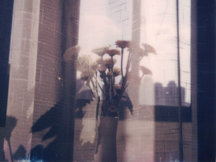 Everyday Flowers
A floral series shot
