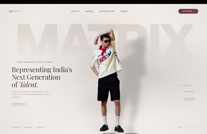 Made this website demo for