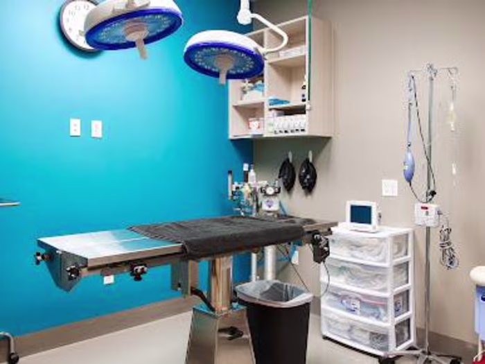 Web Scraping United States Vet Clinics