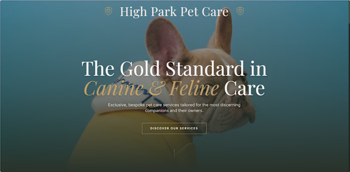 Informative website about pet walking