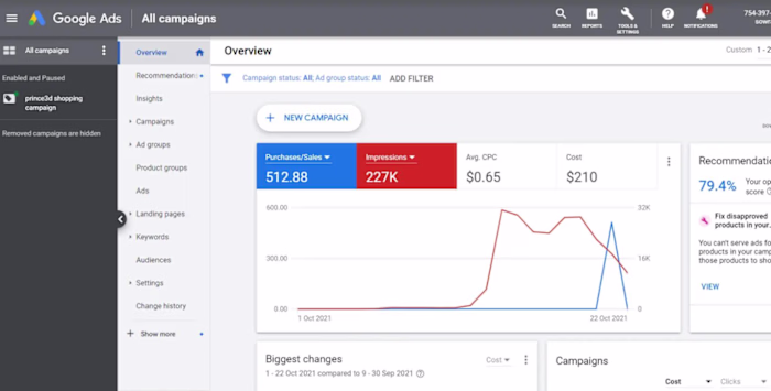Google Ads campaign View