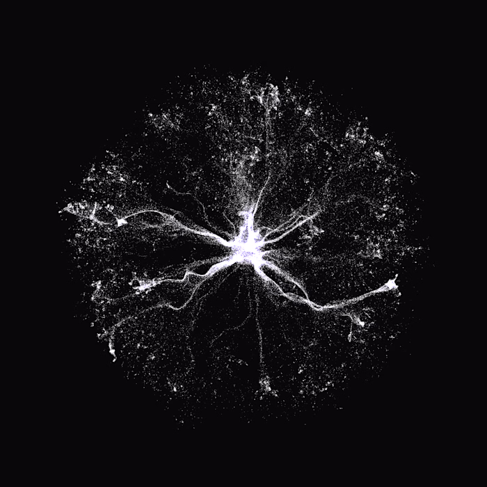 Visual Design for The Prelude To Everything