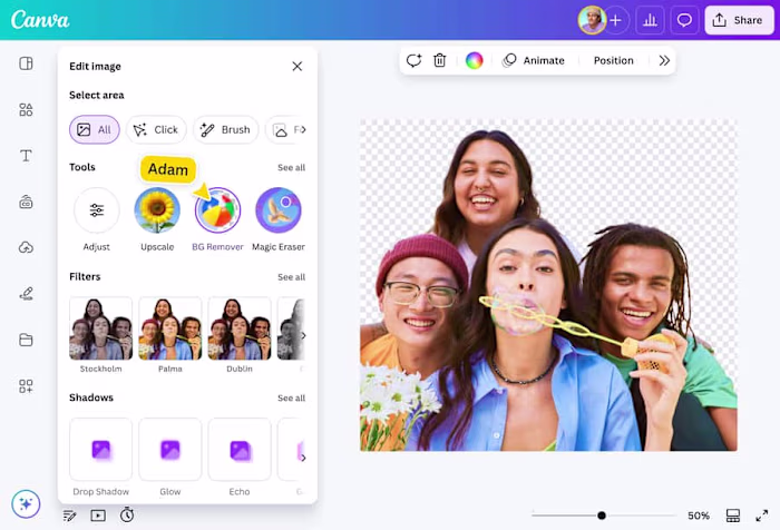Online Background Remover