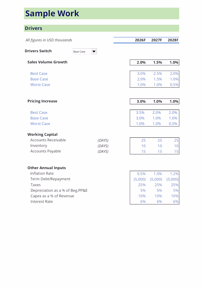 Structured Excel assumptions section covering