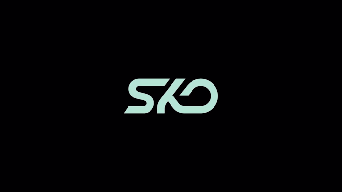 Motion Graphics for SKO Promo