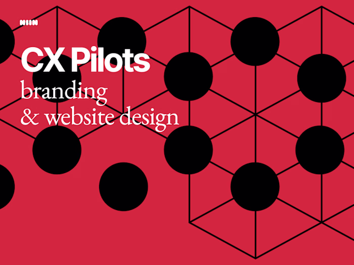 CX Pilots: Multi-Service