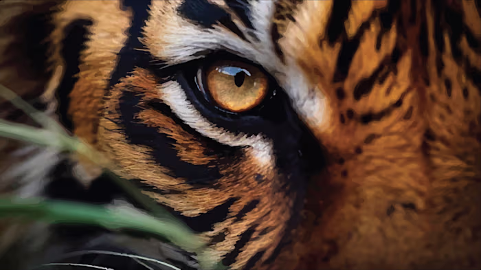 Unleash the wild with this