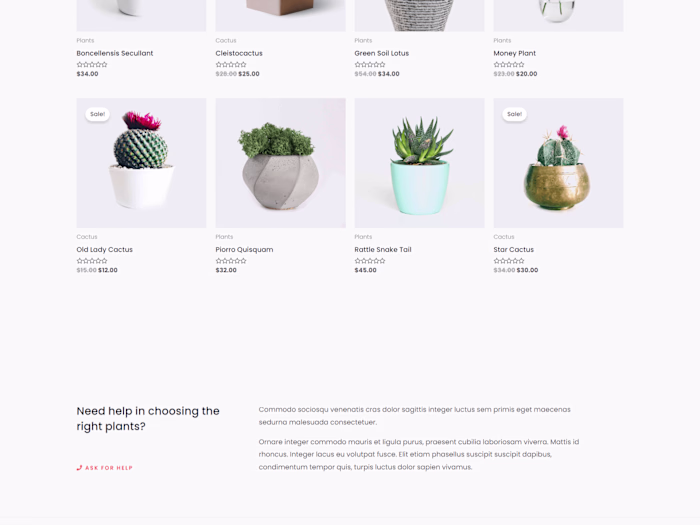 E-Commerce Web Design (Simply Natural)