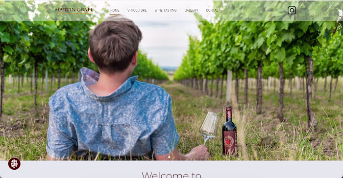 Custom Elementor WordPress Website