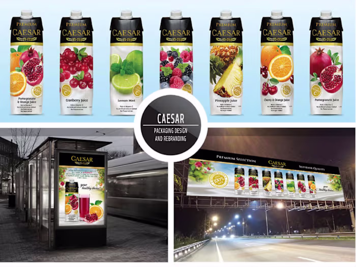 Revamping Corporate Branding for a Multinational Company