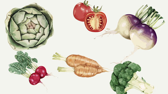Naturopathy, Holistic Medicine, and Healthy Eating: A Holistic A