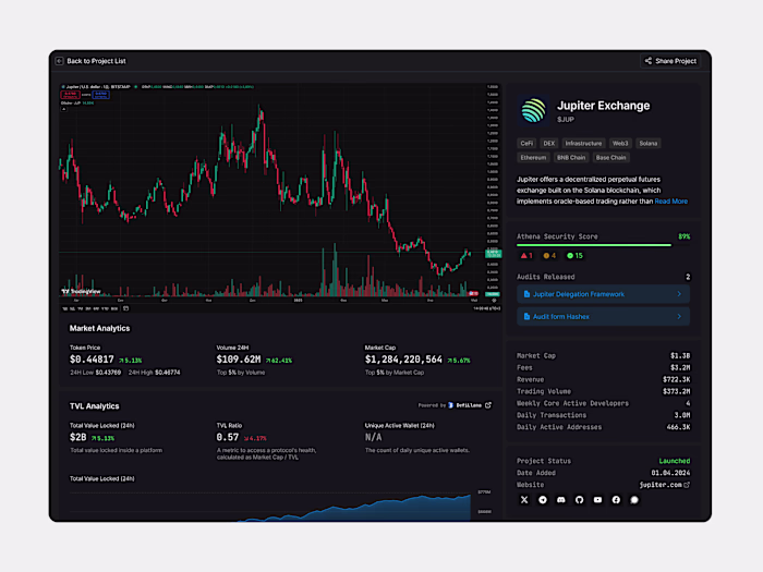 Crypto project technical audit page