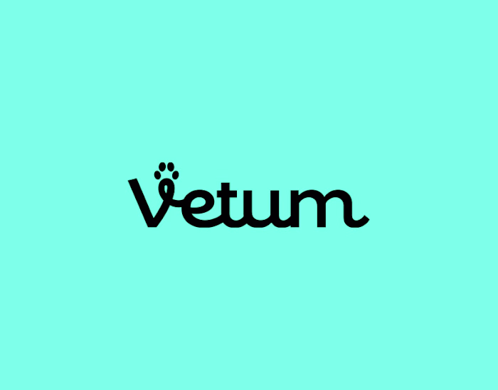 Vetum | Veterinary Logo & Brand Visual Identity Design