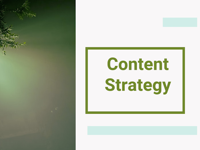 Content Creation Strategy for an NGO