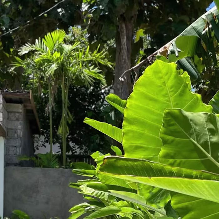 Photo content for a villa