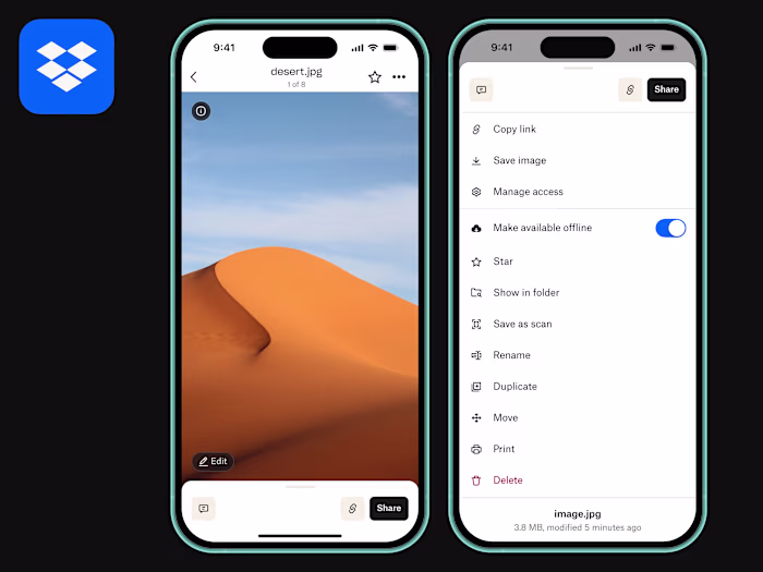 Dropbox Mobile App: File Action Sheet