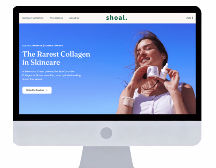 Ecommerce Skincare Website with Wireframes