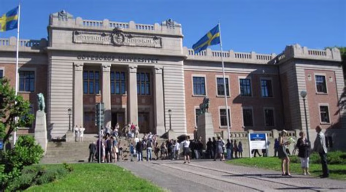 Swedish-English translation example