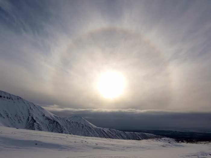 Half A Halo
