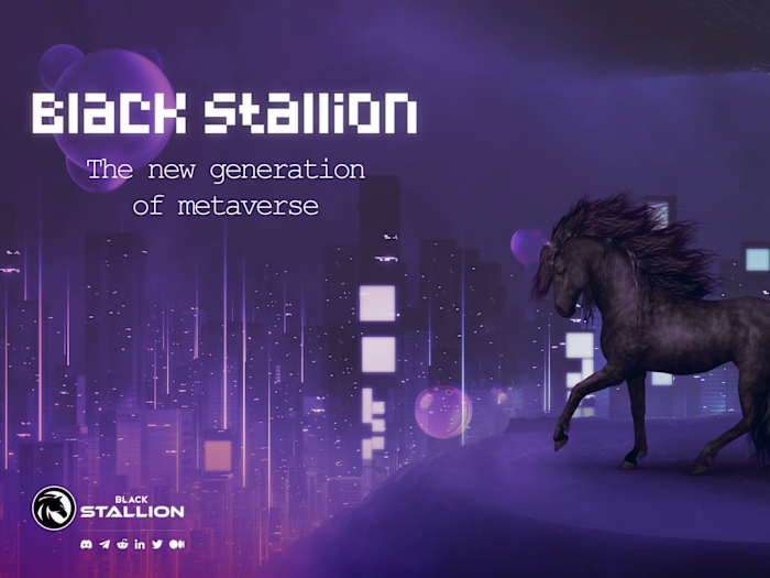 Black Stallion